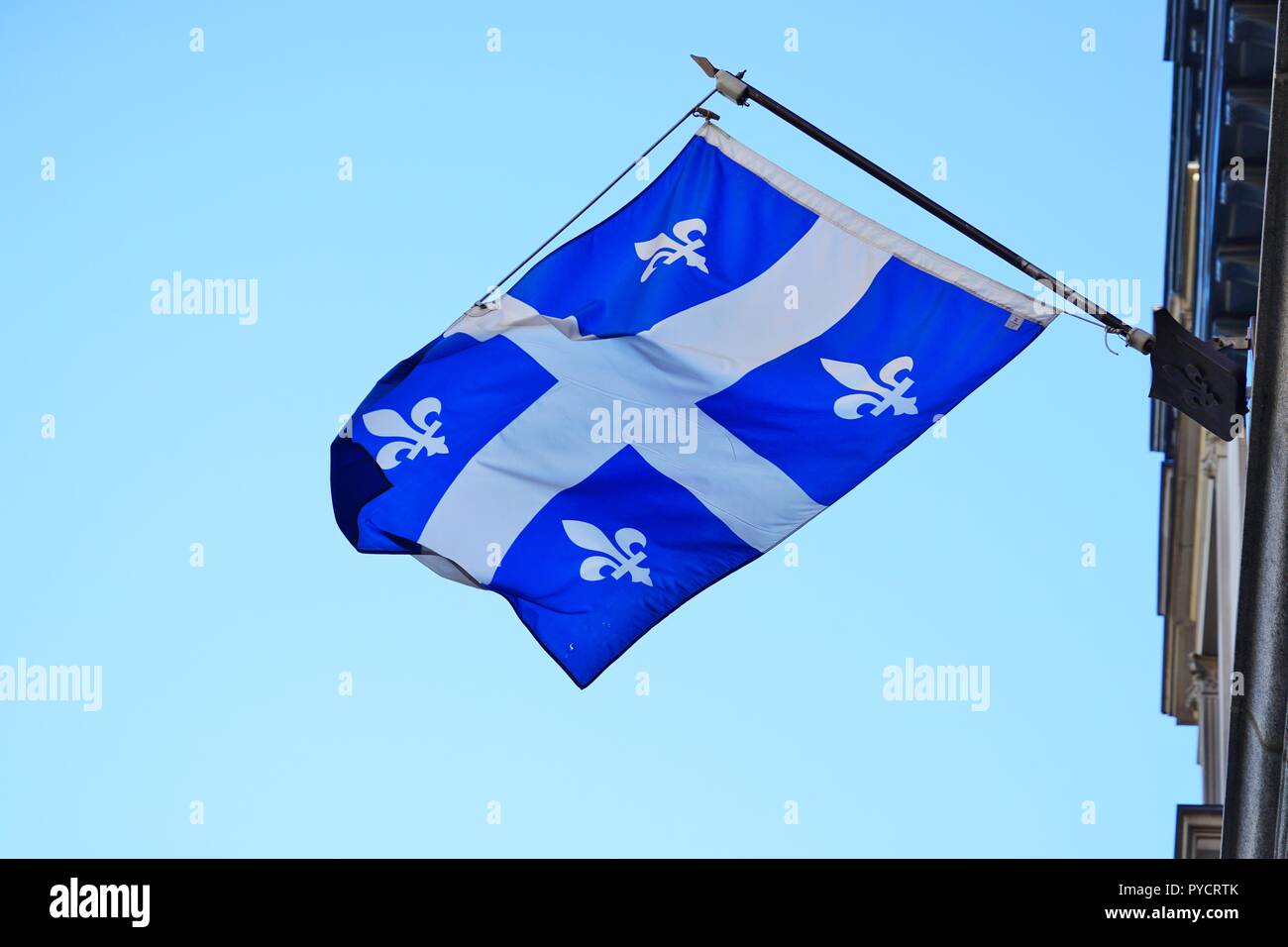 A Quebec flag with white lily flowers floating on the street in
