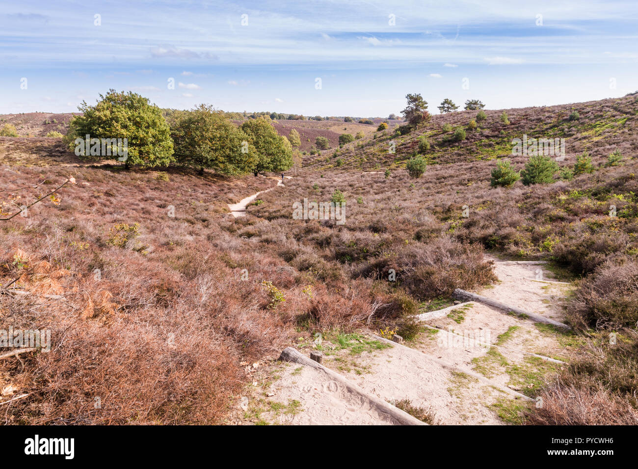 National Park Posbank Veluwe Netherlands Stock Photo Alamy