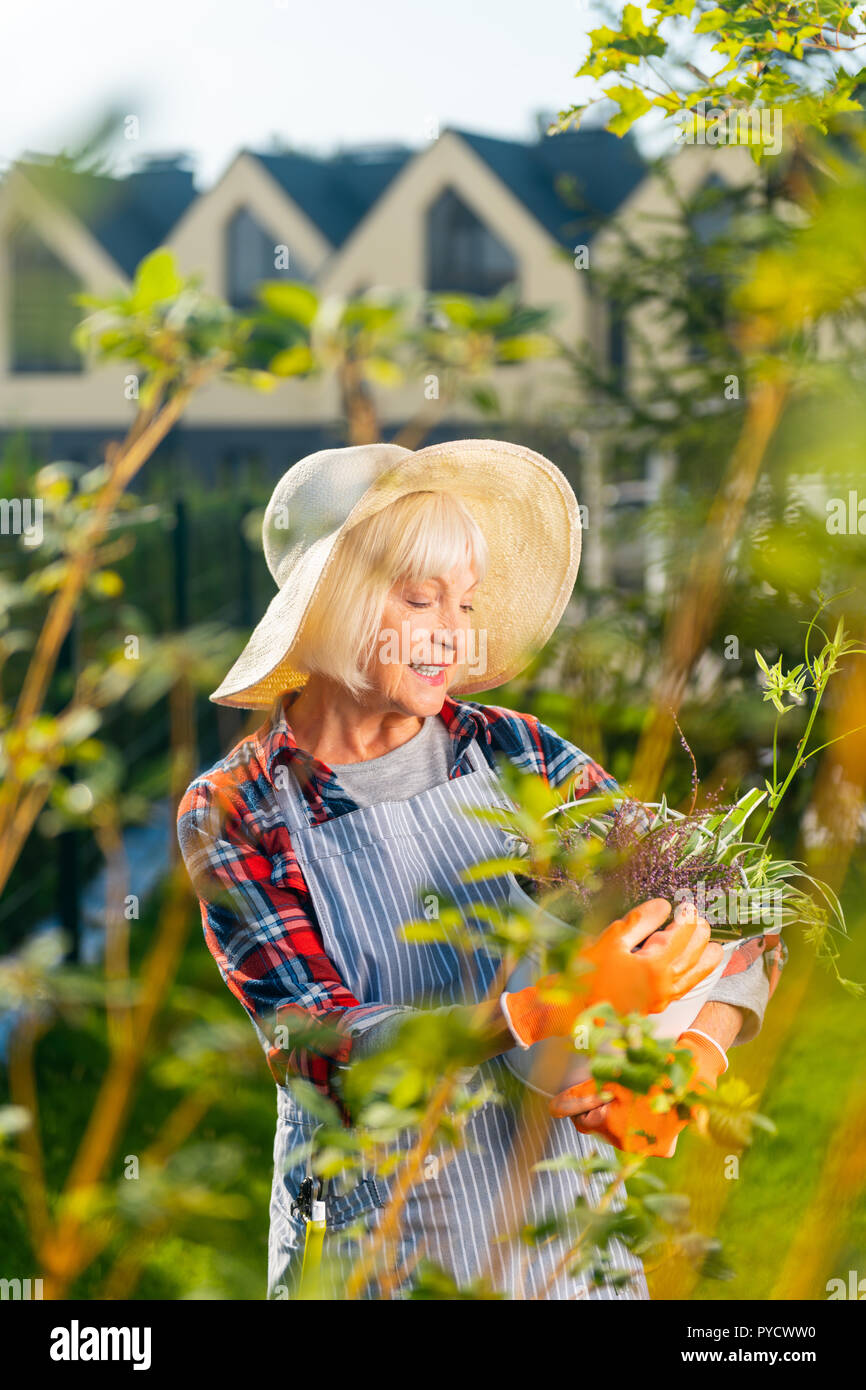 Cheerful attractive old lady enjoying a sunny day Stock Photo