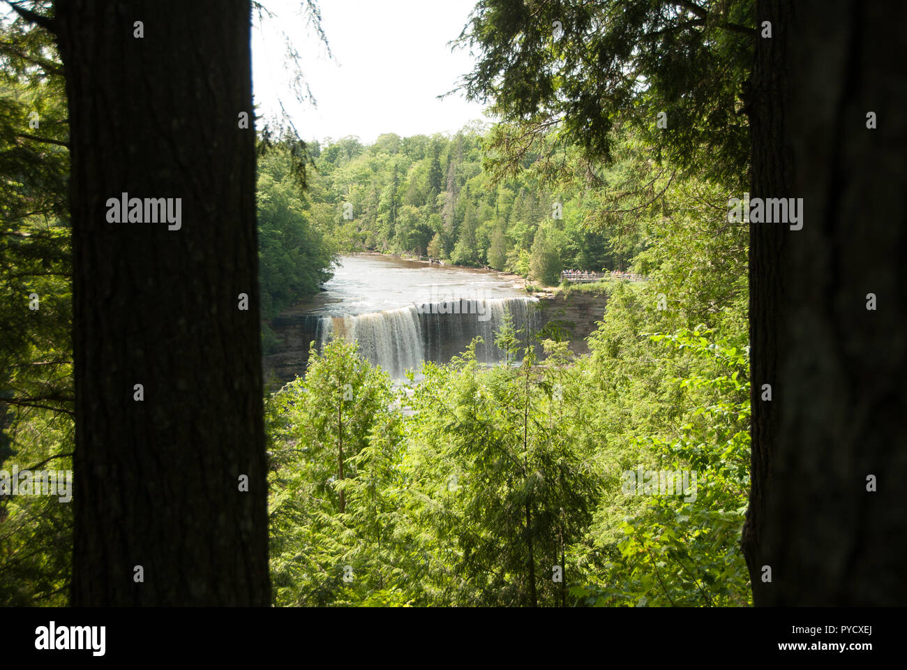 Tahquamenon Falls in Michigan's eastern Upper Peninsula. T Stock Photo