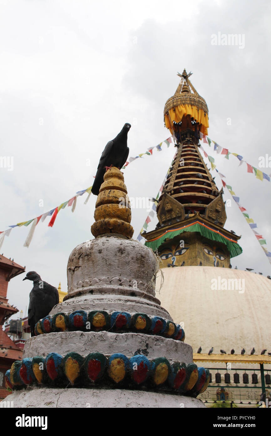 The birds around the stupa (and its eyes) in the middle of Kathmandu local market. Taken in Nepal, August 2018. Stock Photo