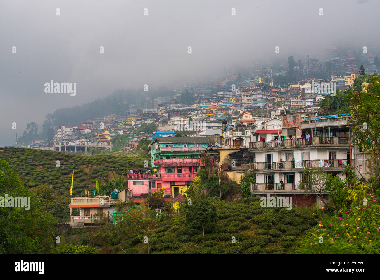Kurseong is a hill station and sub-divisional town in the Darjeeling district, India Stock Photo
