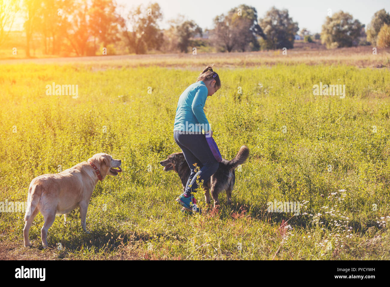 Young girl with two dogs playing in the meadow Stock Photo - Alamy