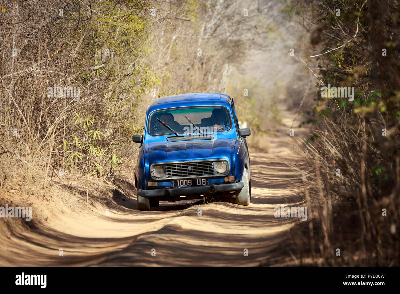 Old Renault 4 driving on a rural road in western Madagascar Stock Photo