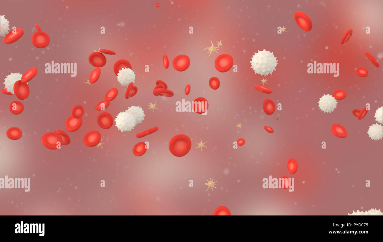 3D illustration of a blood with red cell white cell and platelet Stock Photo