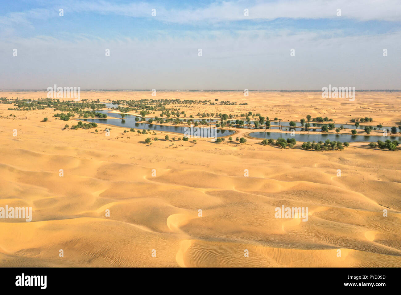 Lakes and trees in a beautiful oasis in the desert. Dubai, UAE. Stock Photo