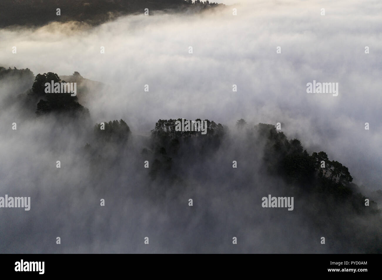 Moist air hi res stock photography and images Alamy