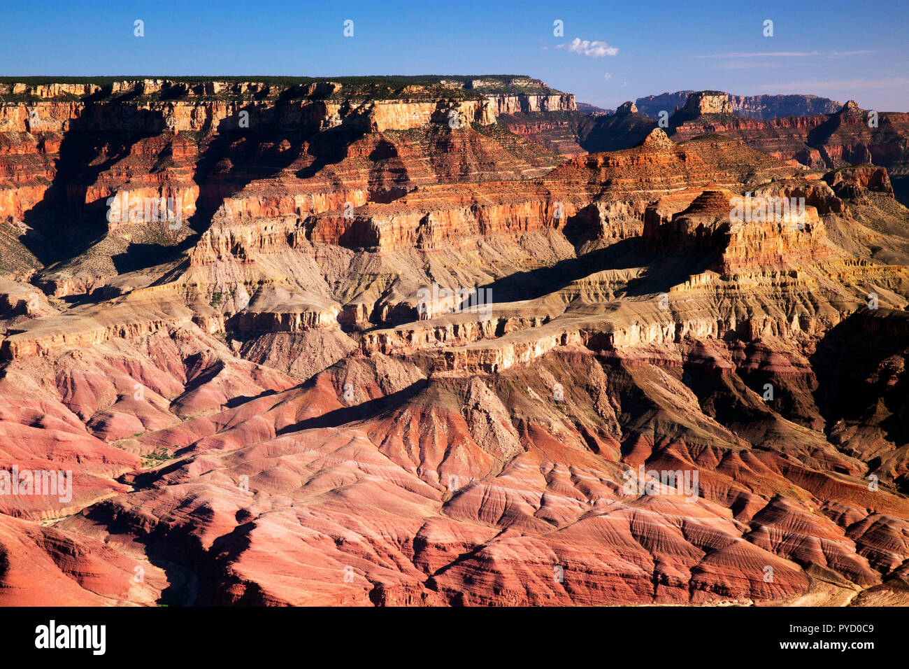 Visible Layers of the Grand Canyon National Park, Arizona Stock Photo ...