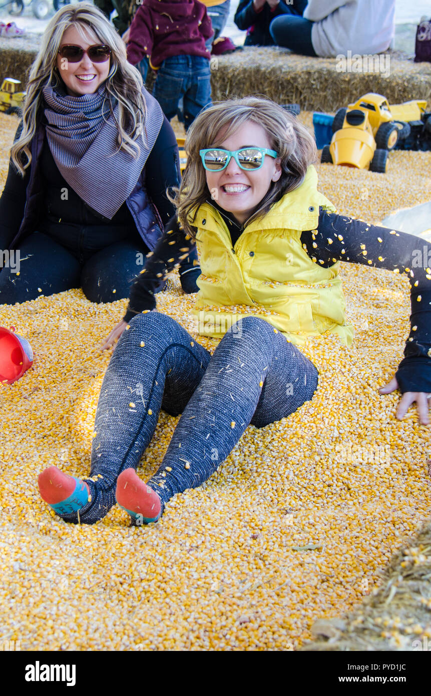 Two adult females bury each other in a corn pit at a corn maze attraction and pumpkin patch. Stock Photo