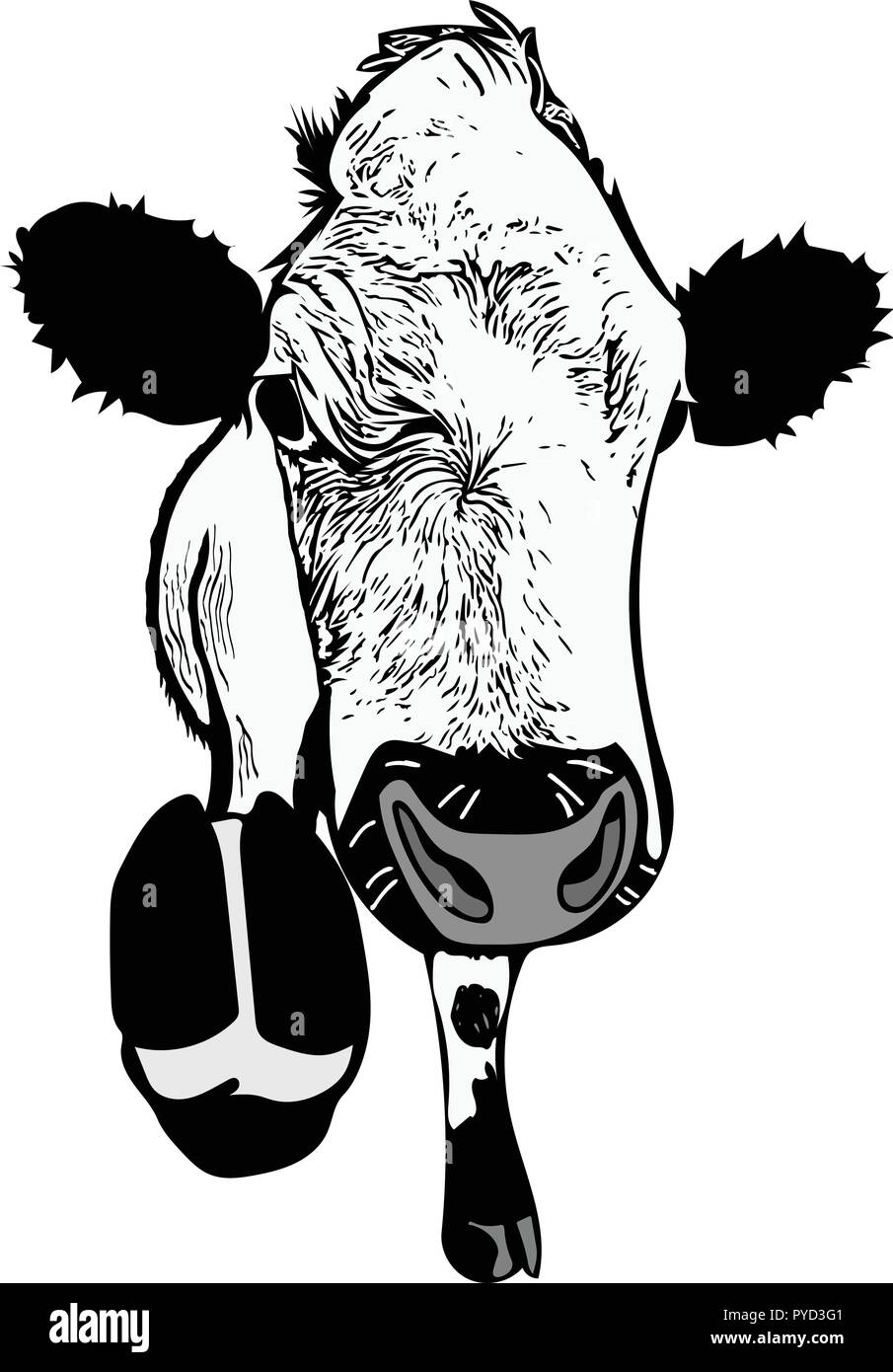 Monochrome vector of British white cow head on with pointed hoof. Stock Vector