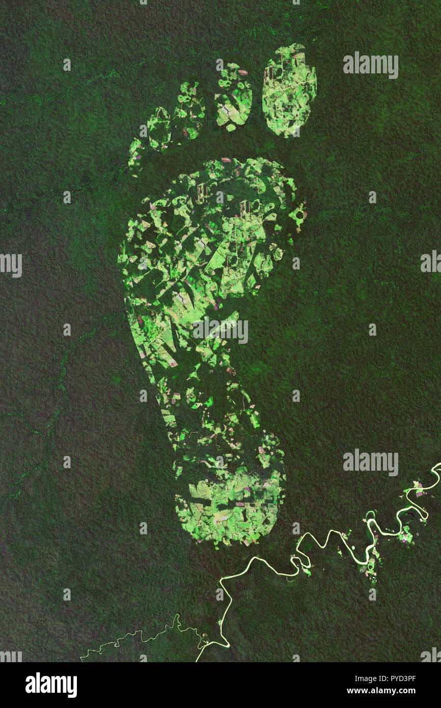 Ecological footprint - deforestation in the rainforest - concept based on satellite imagery - contains modified Copernicus Sentinel Data Stock Photo