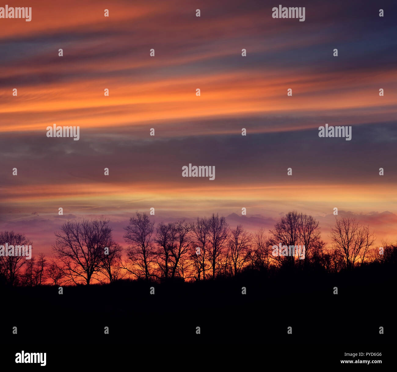 Tree silhouettes landscape sunset hi-res stock photography and images ...