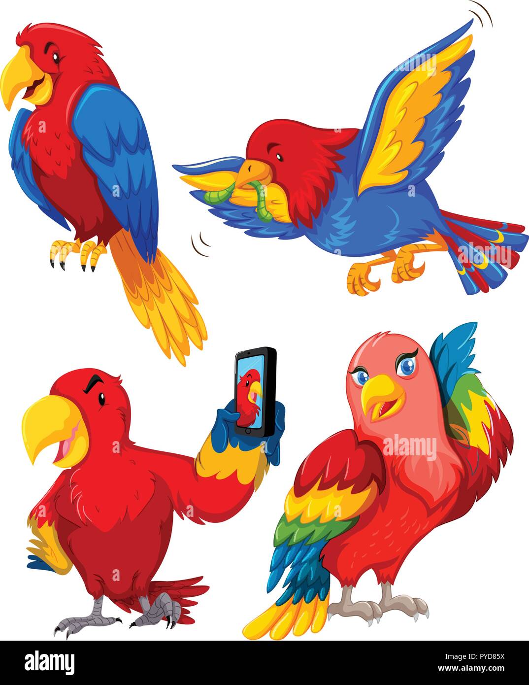 Set of parrot character illustration Stock Vector Image & Art - Alamy