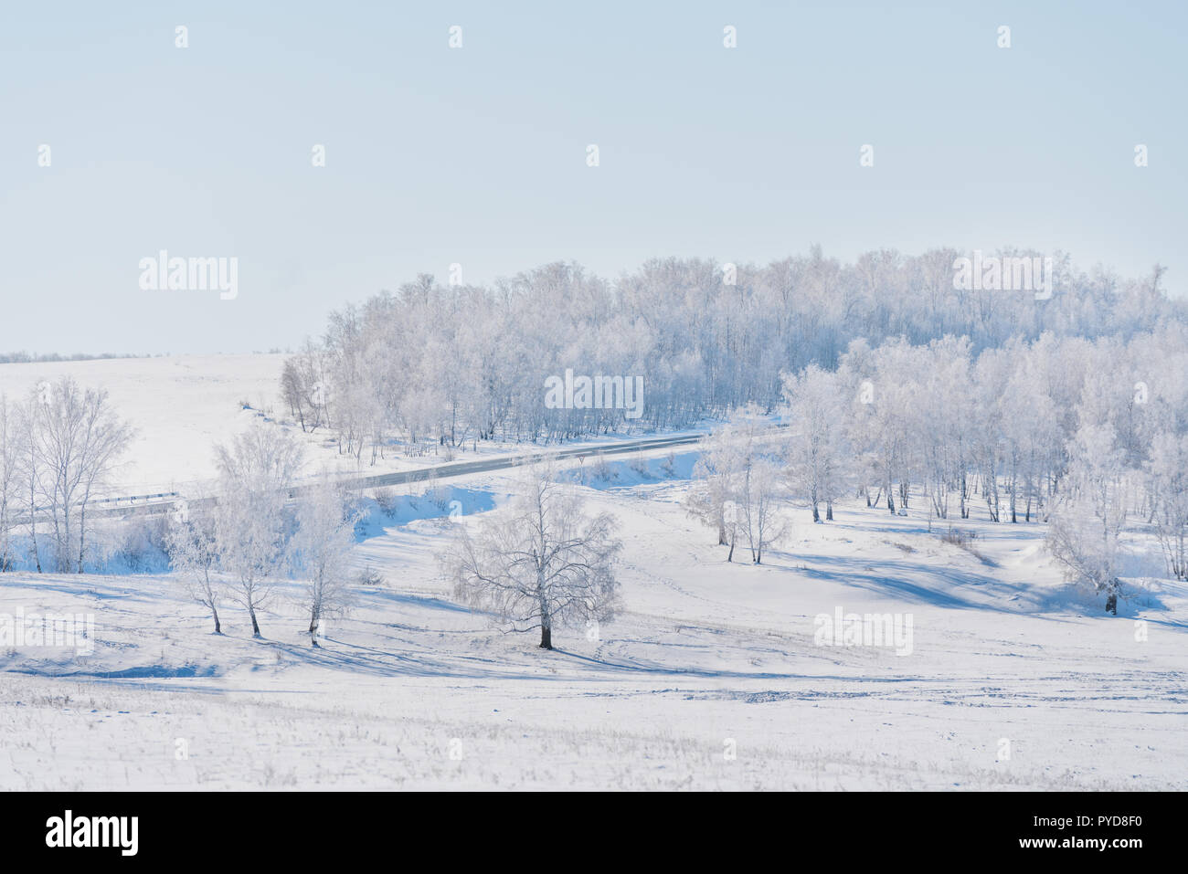 Winter landscape, white snow field with white forest in winter Stock Photo