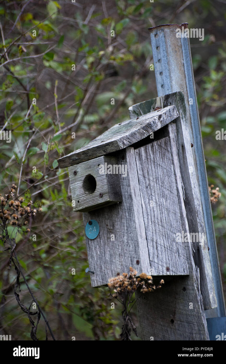 A closeup of a weathered, wooden bird house. Stock Photo
