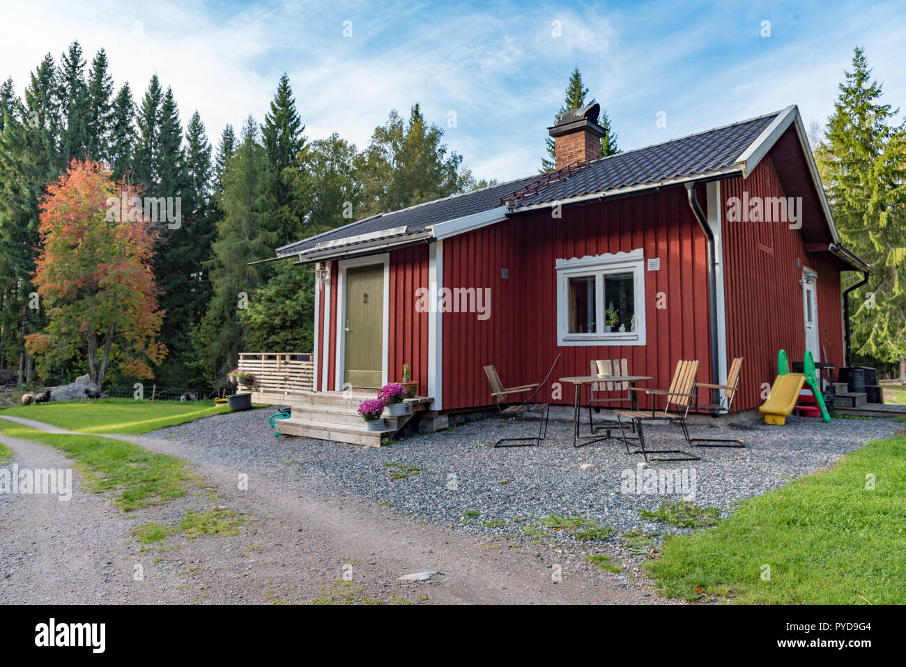 Little Red Cabin With A Green Door In Swedish Forest Autumn 2018