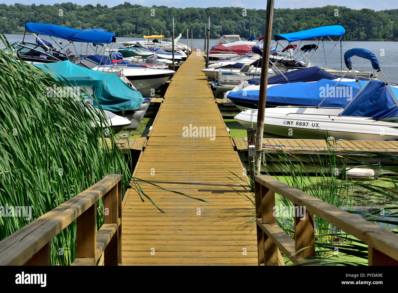Small pier (Sutter's Marina) with boats docked in Irondequoit Bay, a