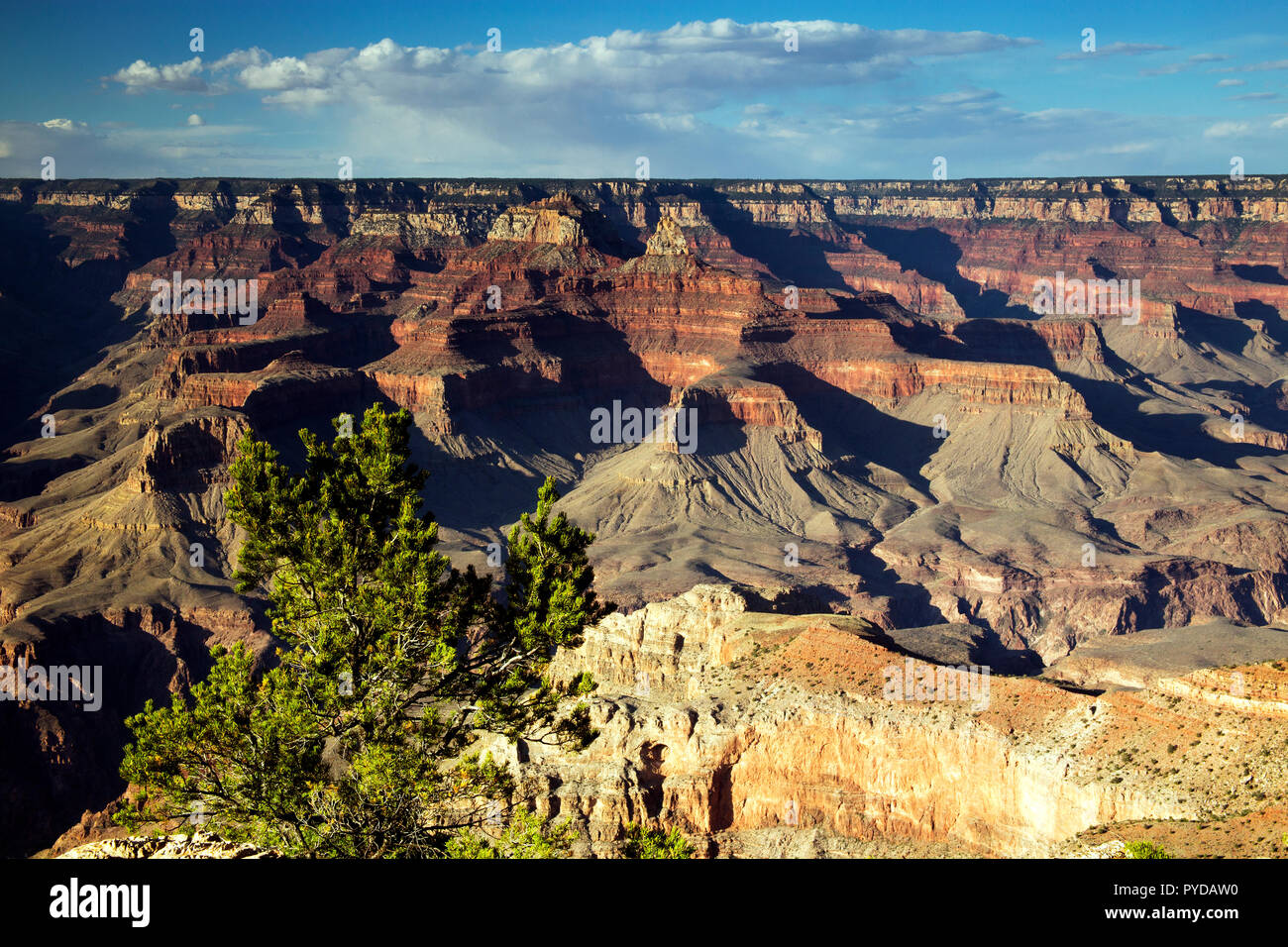 Warm Colors of Grand Canyon National Park, Arizona Stock Photo