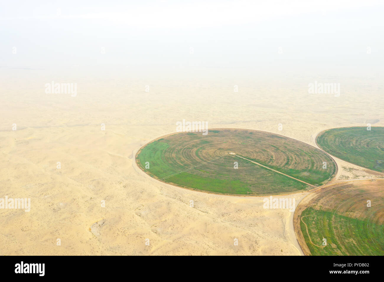 Circular green irrigation patches for agriculture in the desert. Dubai, UAE. Stock Photo