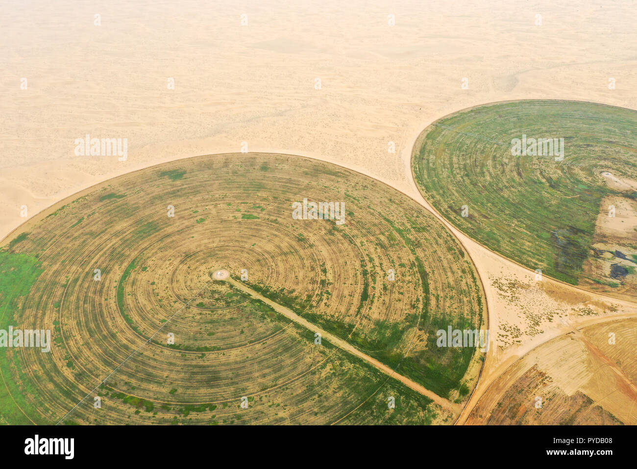 Circular green irrigation patches for agriculture in the desert. Dubai, UAE. Stock Photo