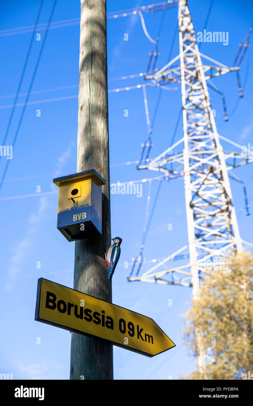 birdhouse of a fan of the fooball club Borussia Dortmund  under a high voltage pylon in Herdecke, Germany.  Vogelhaeuschen eines Borussia Dortmund Fan Stock Photo