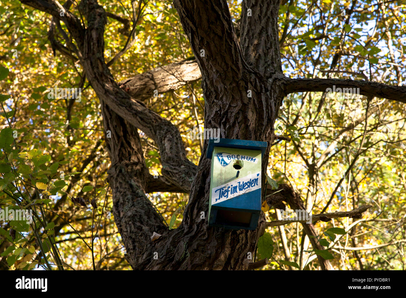 birdhouse of a fan of the fooball club VFL Bochum in Herdecke, Germany.  Vogelhaeuschen eines VFL Bochum Fans in Herdecke, Deutschland. Stock Photo