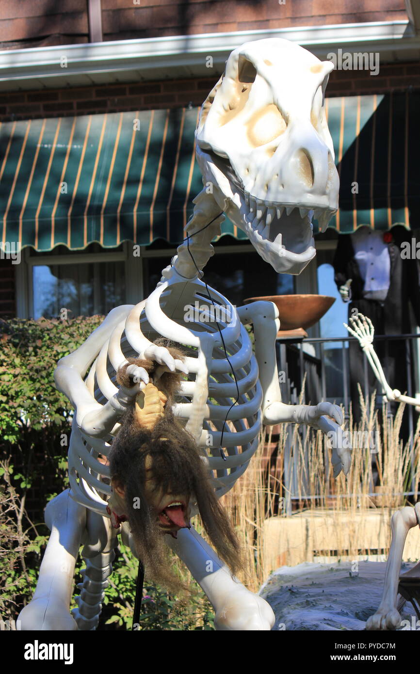 Extinct t rex skeleton holding a ghastly decapitated head as ...