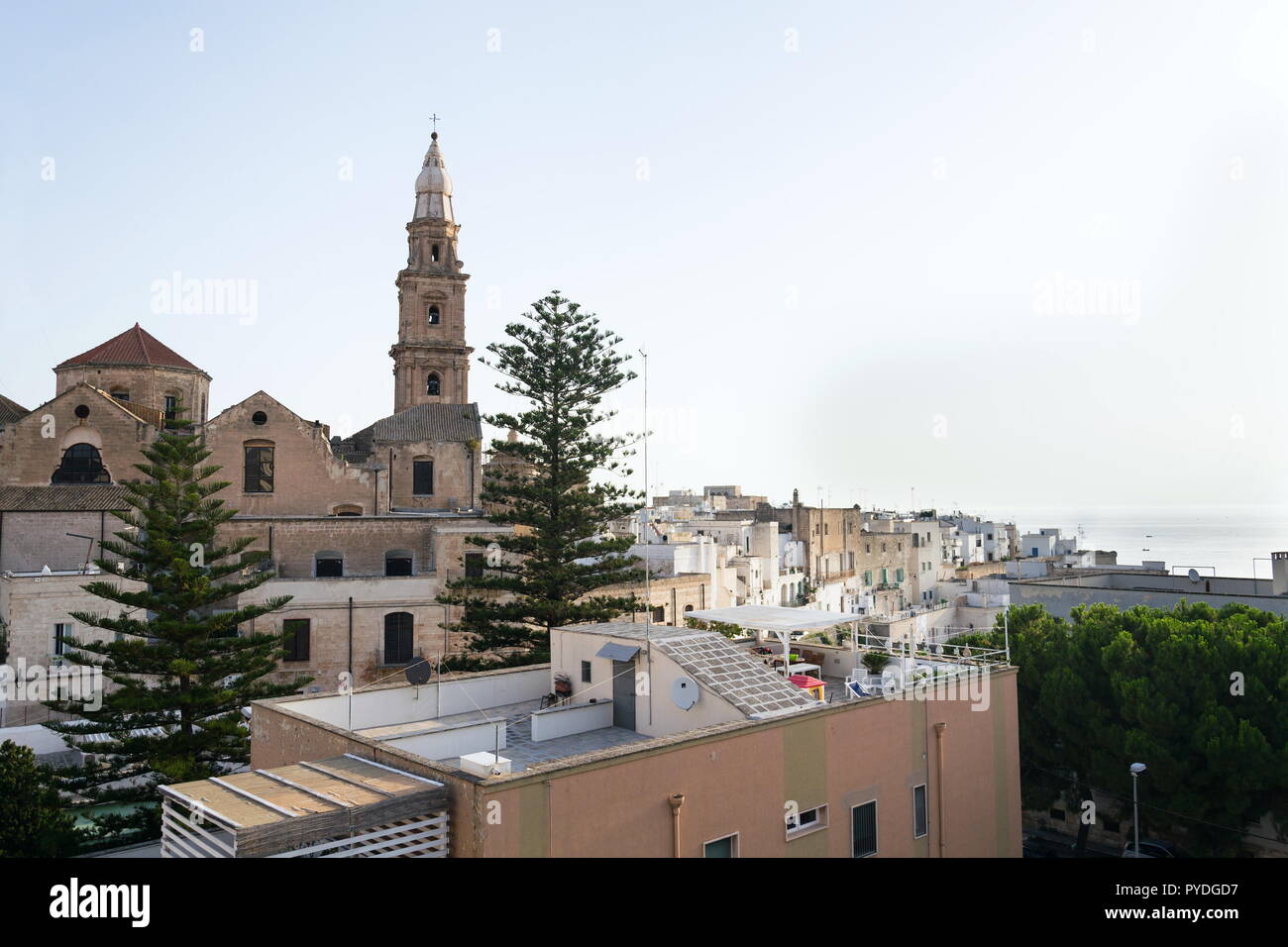 Domed Roman Catholic Monopoli cathedral, Basilica of the Madonna della Madia or Santa Maria della Madia, Monopoli, Apulia, Bari province, Italy Stock Photo