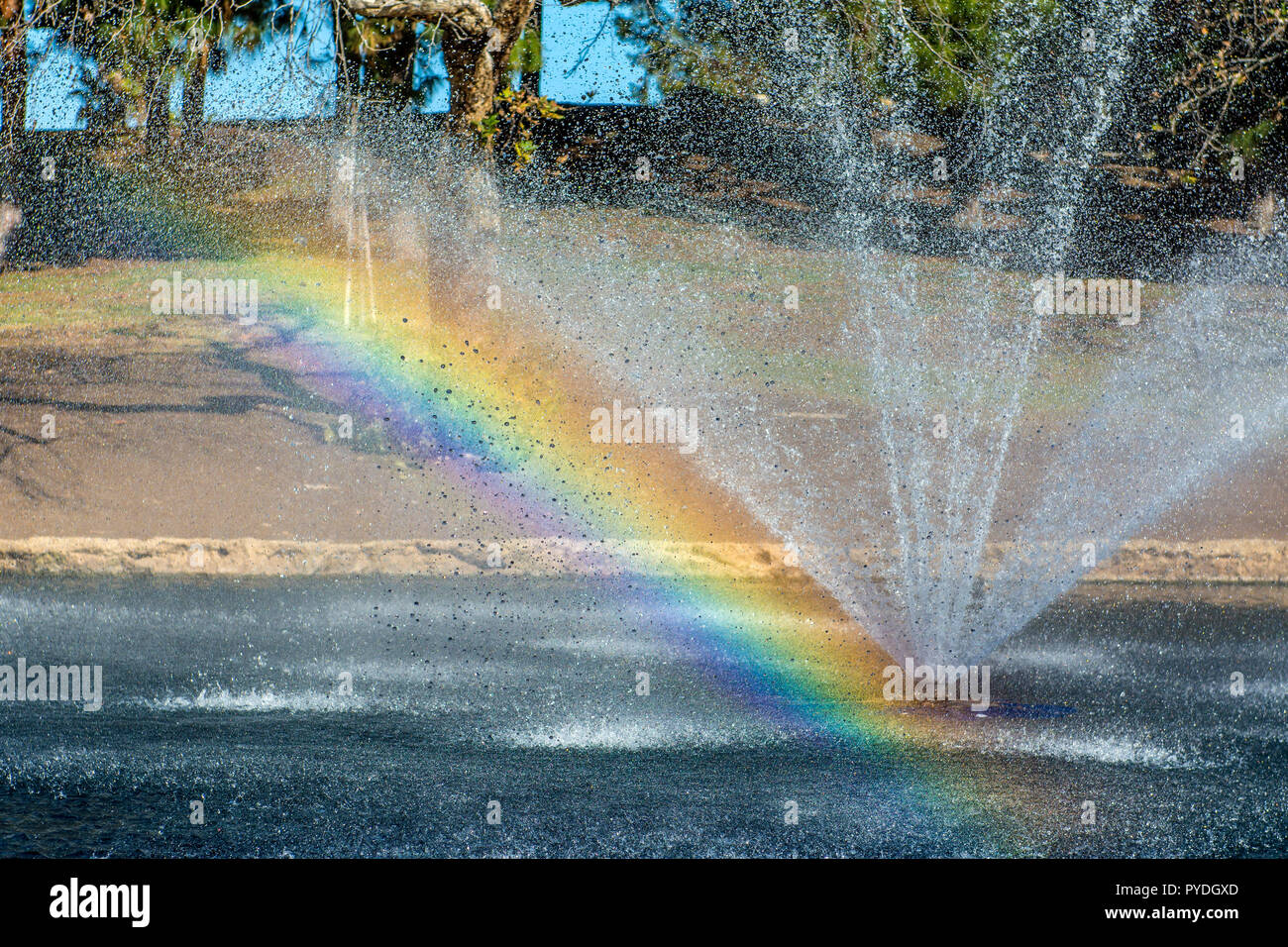 Rainbow Over Pond Stock Photo
