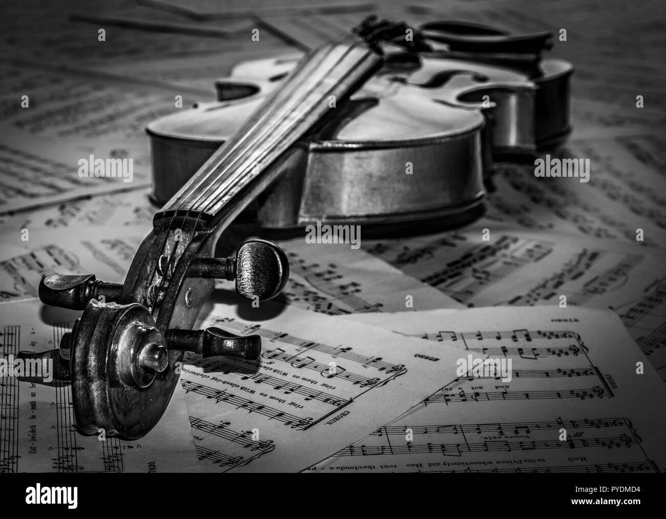 Black and white violin Stock Photo Alamy
