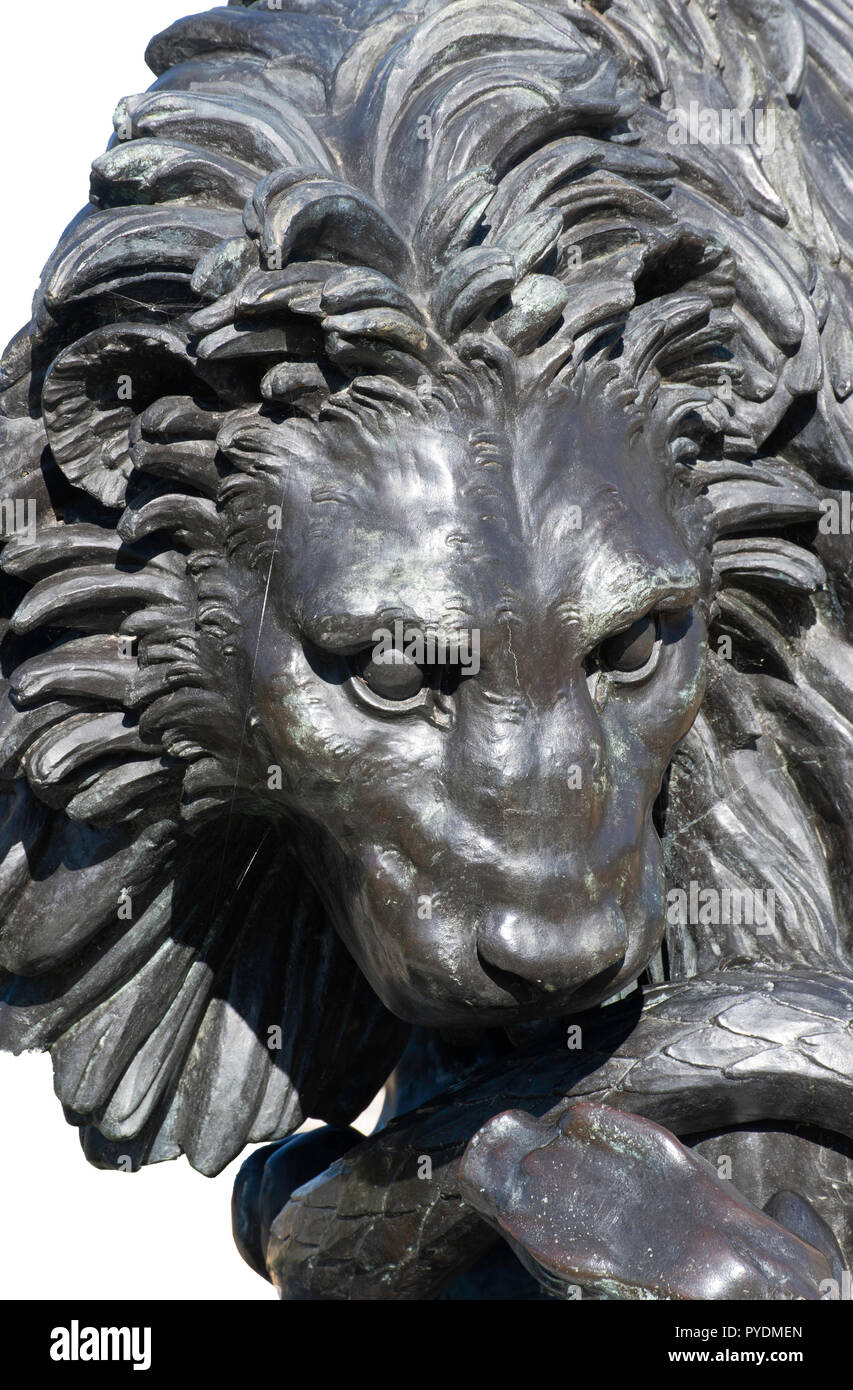 Lion face sculpture isolated Stock Photo Alamy