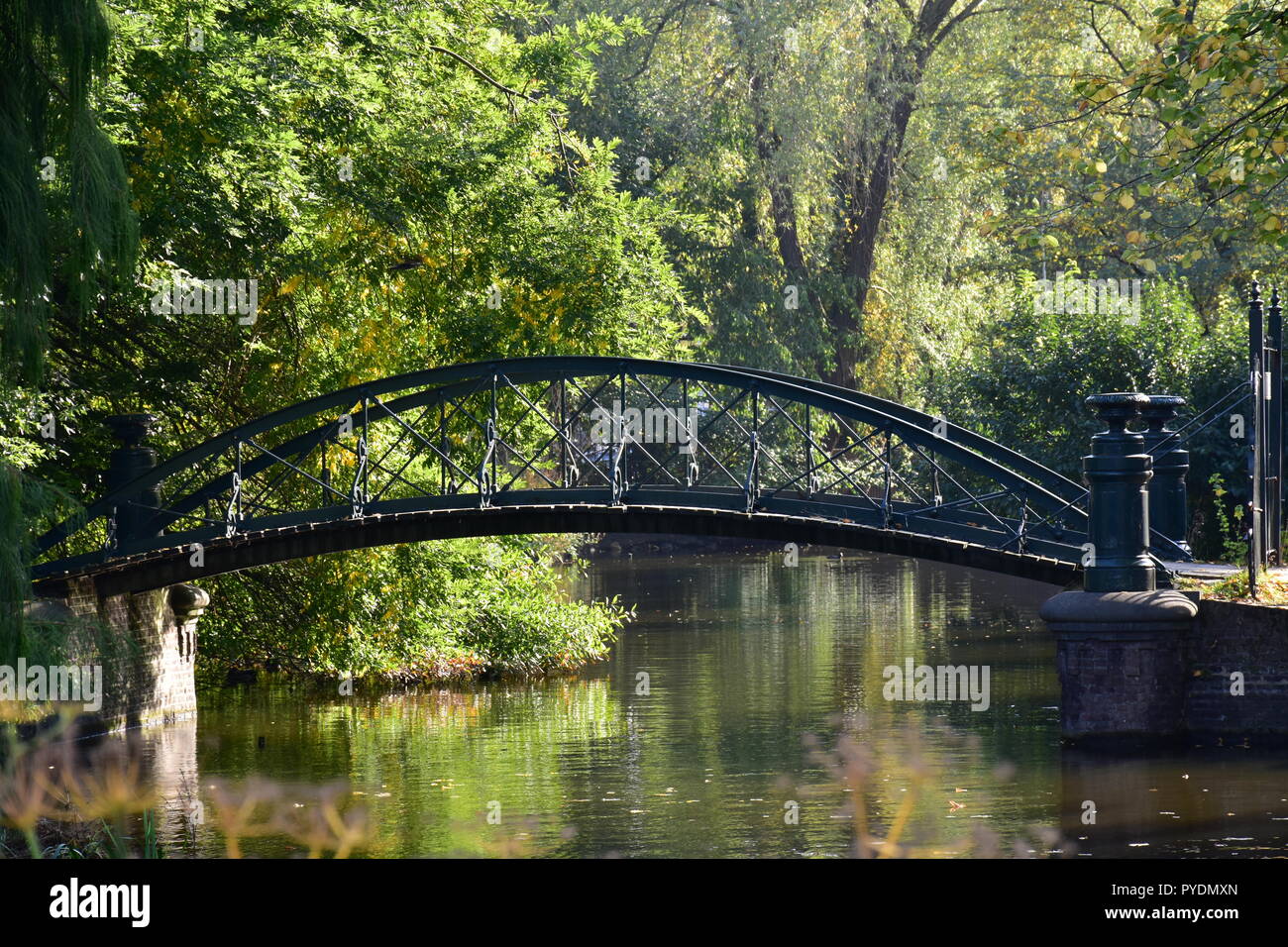 Botanical garden bridge Stock Photo