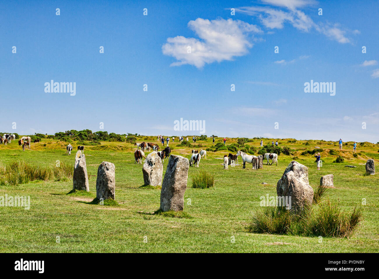 3 July 2018: Bodmin Moor, Cornwall, UK - The Hurlers stone circle near Minions, the highest village in Cornwall, with wild ponies grazing and people t Stock Photo