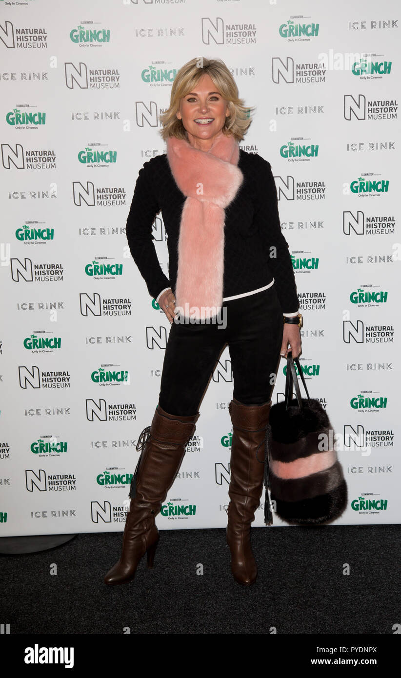 London uk 24th October 2018 The Natural History Museum Kensington Anthea Turner attends the natural history museum ice rink launch evening Stock Photo