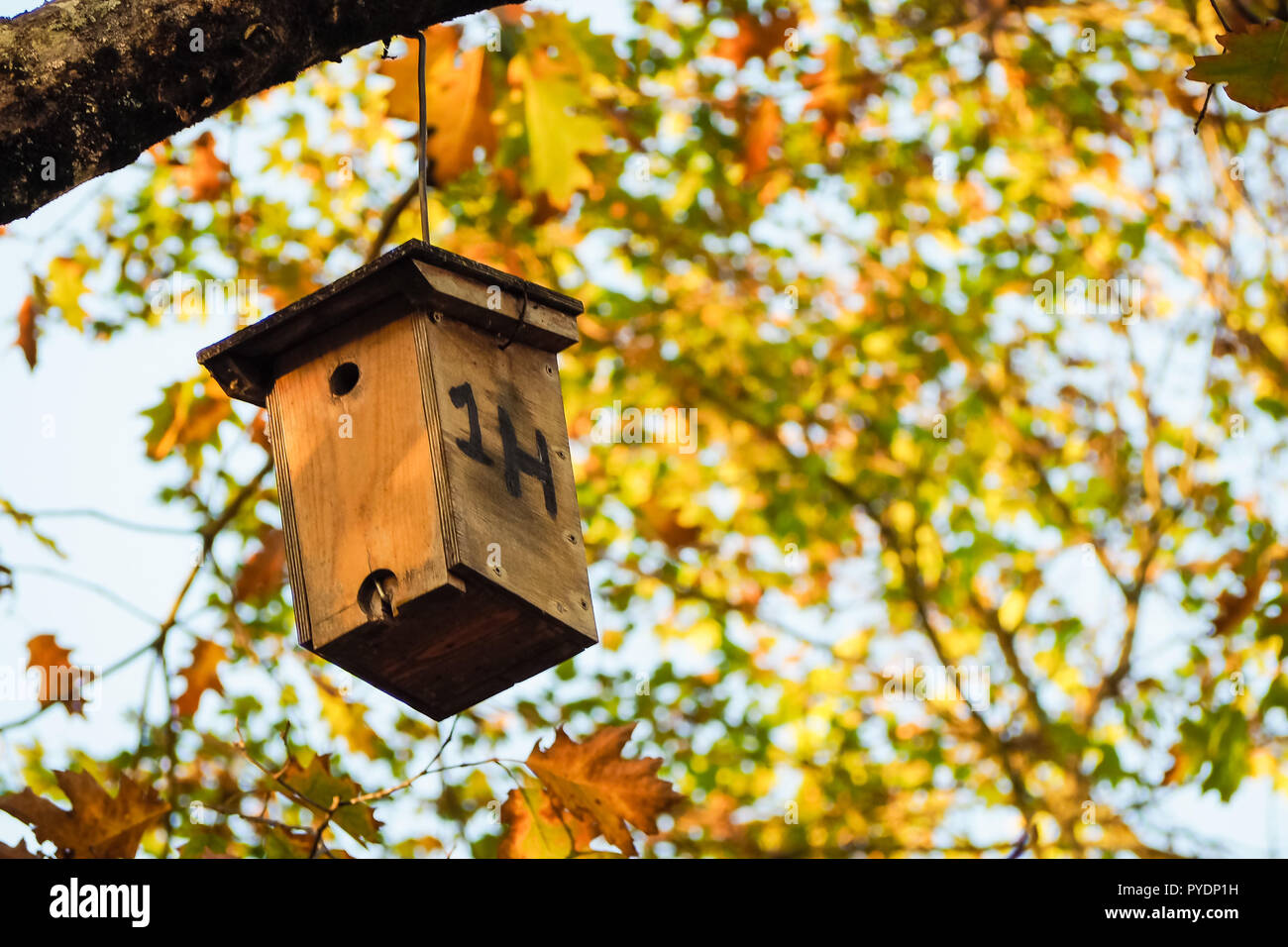 wood made bird house hanging up from a tree in autumn forest Stock Photo