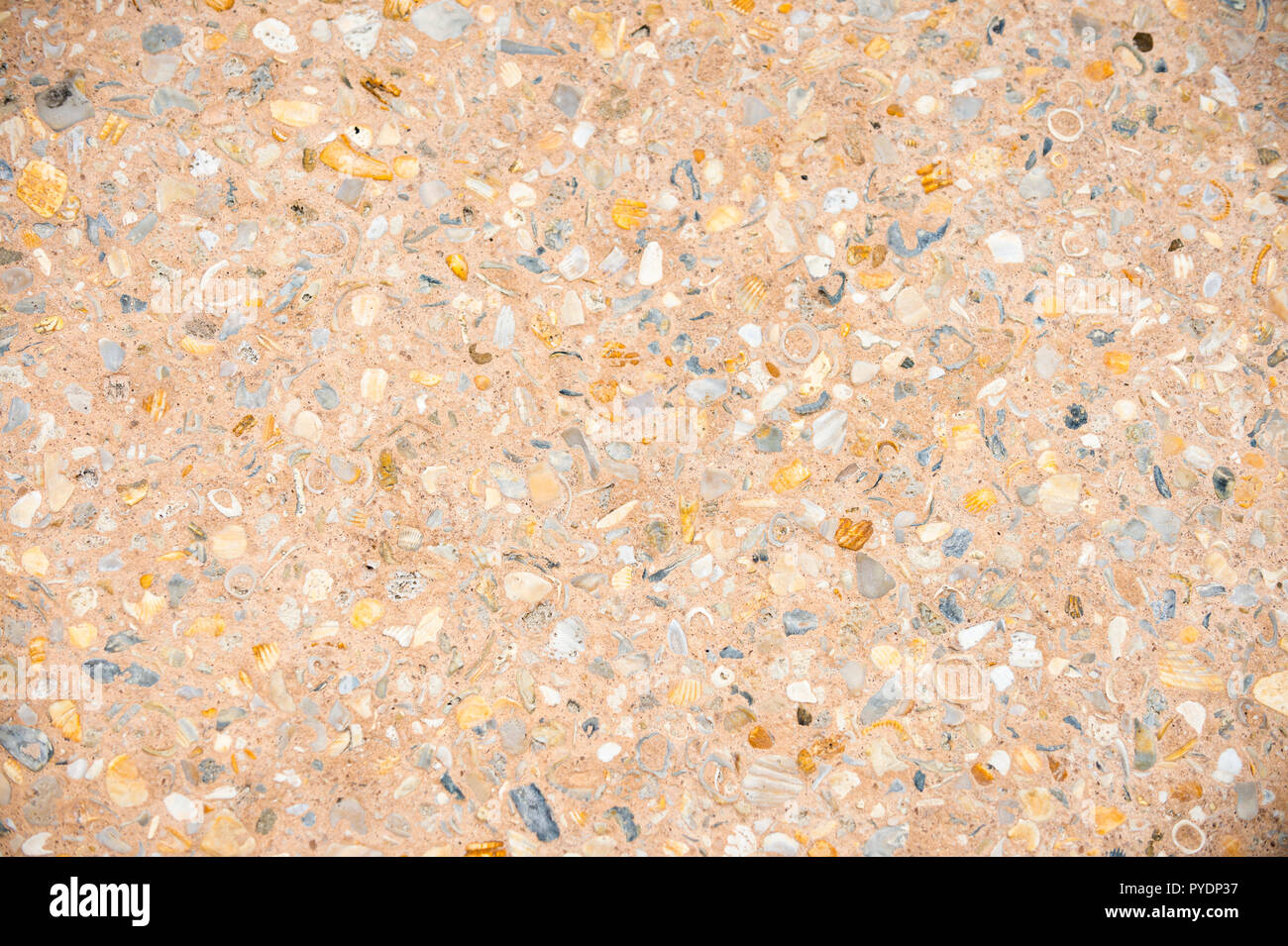 Colorful textured background of shells in stone flooring Stock Photo ...