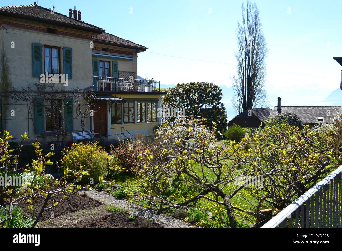 The rear garden of a large lakeside villa in the winegrowers village of