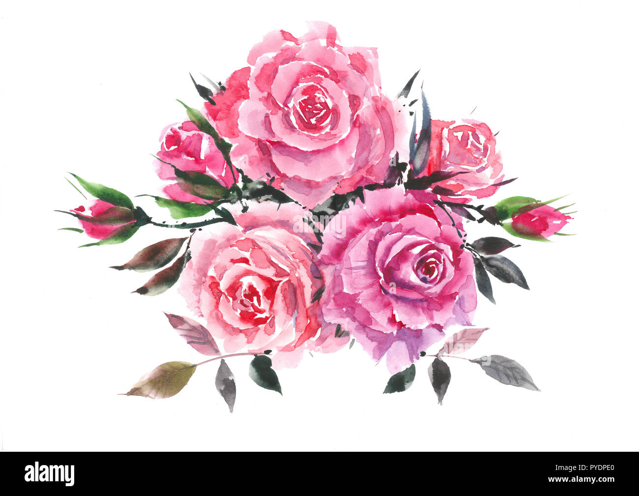 Pink rose. Decorative bouquet with roses. Watercolor background Stock ...