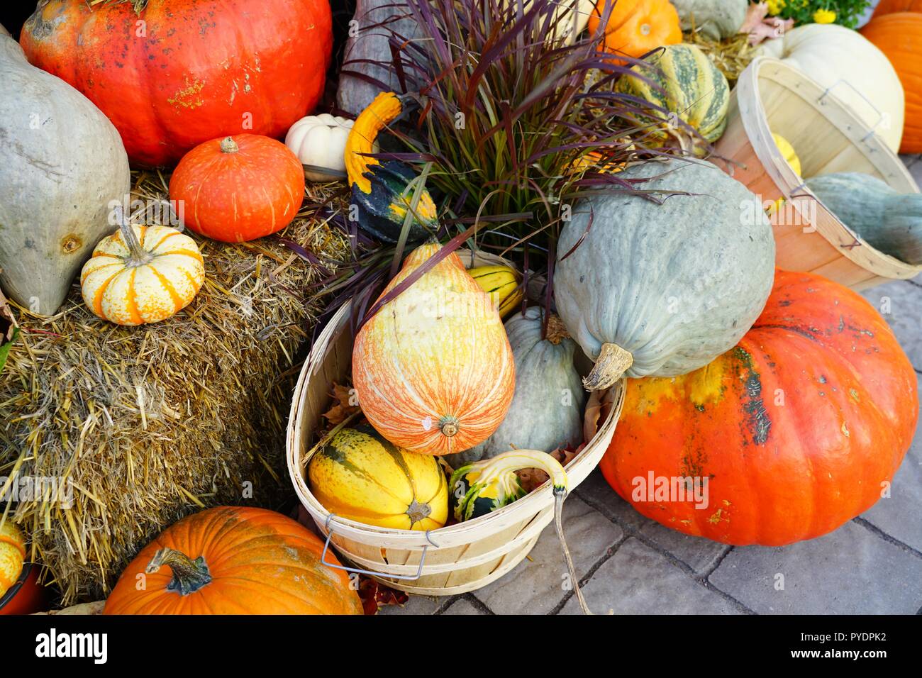 Display of colorful decorative heirloom pumpkins and gourds in the fall ...