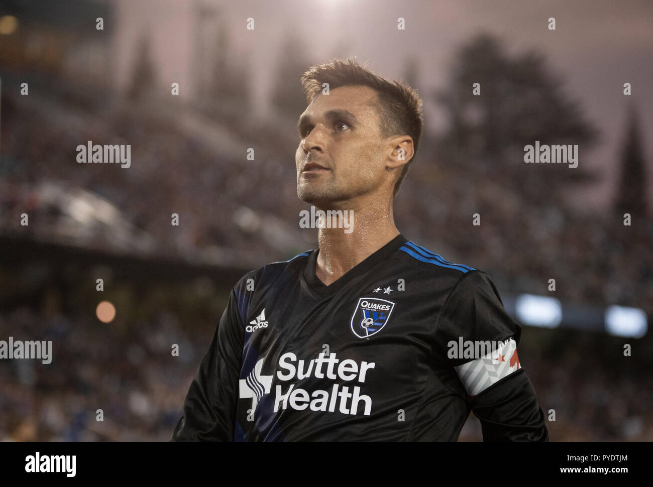 Chris Wondolowski Stock Photo