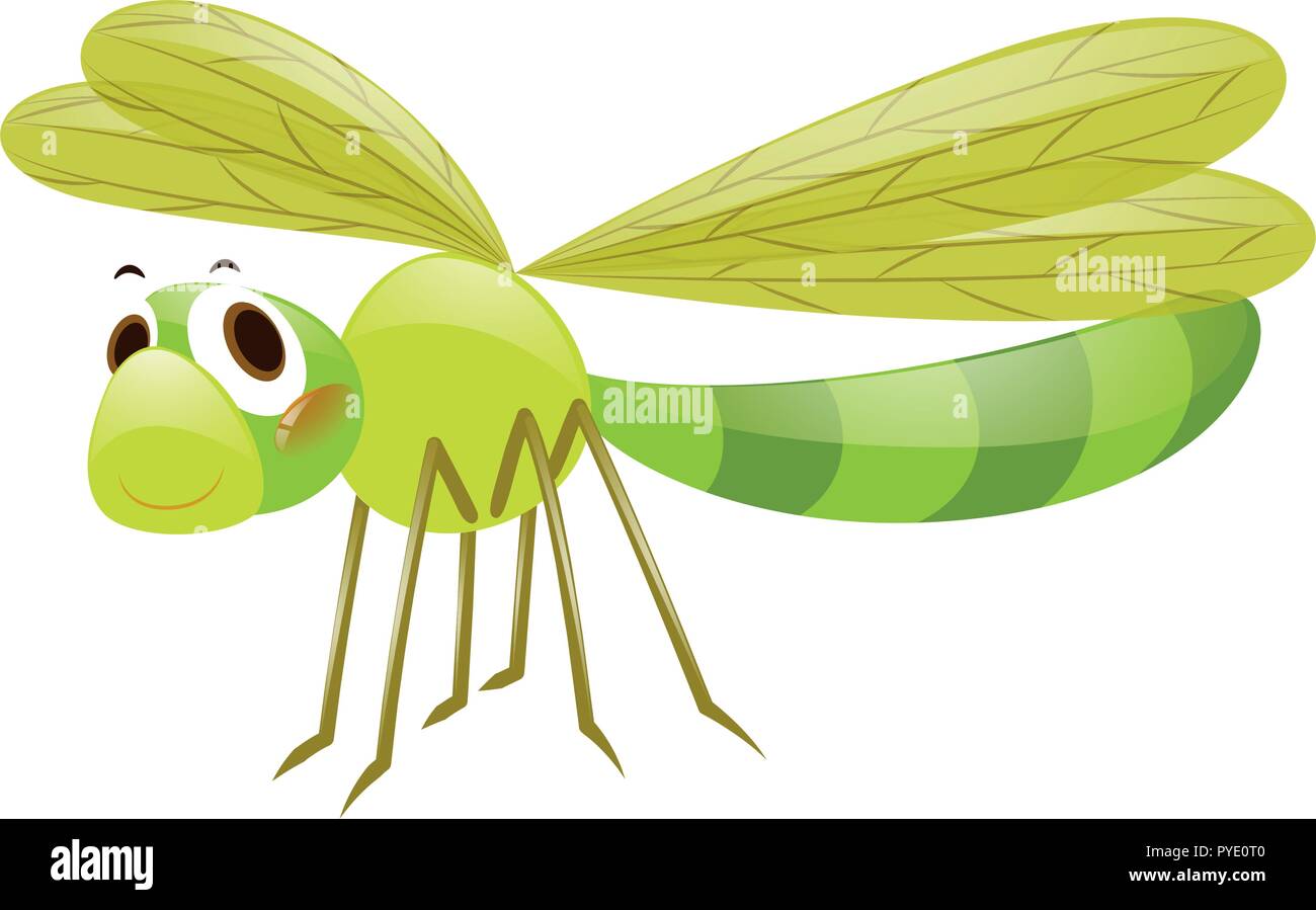Dragonfly in green color illustration Stock Vector Image & Art - Alamy