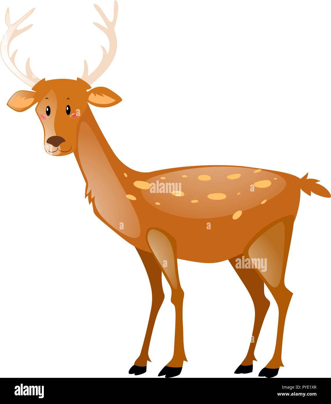 Cute deer on white background illustration Stock Vector Image & Art - Alamy