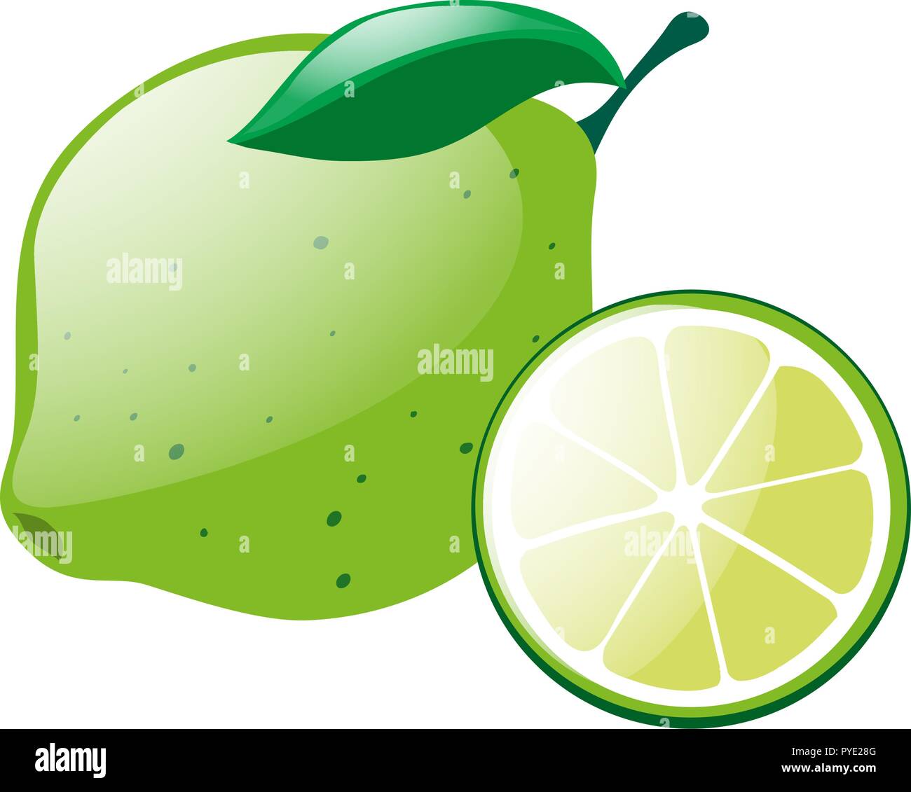 Green lemon with slice illustration Stock Vector Image & Art Alamy