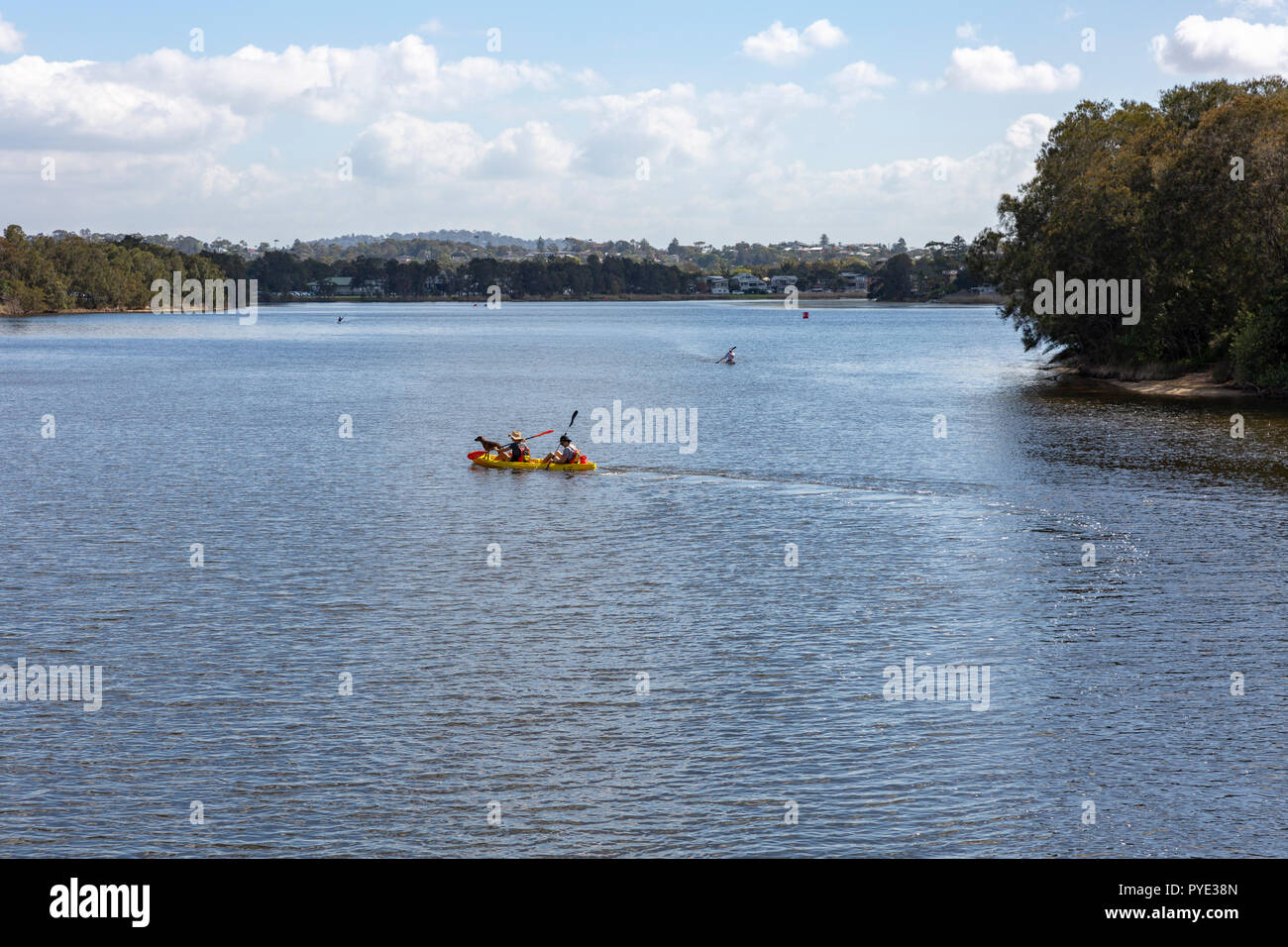 Two person kayak on Narrabeen lake lagoon in Sydney,Australia Stock