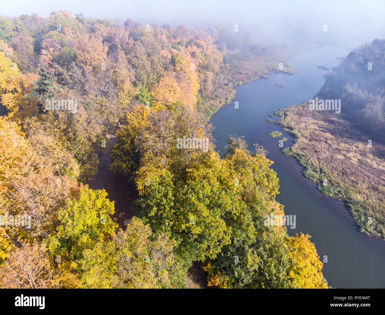 Mysterious misty forest aerial view hi-res stock photography and images ...