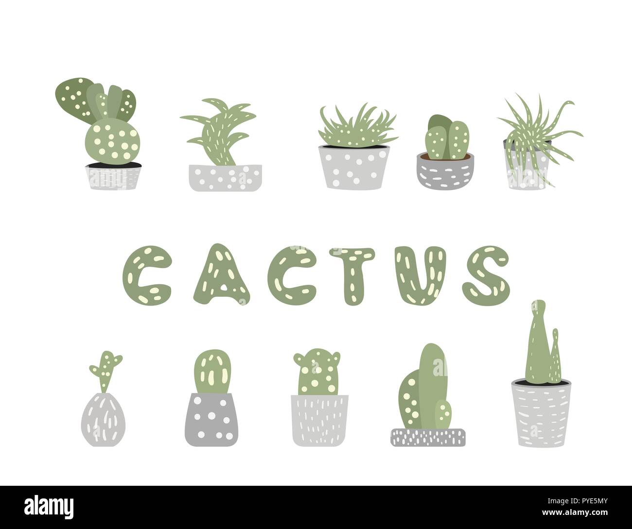 Set of cactuses isolated on white background. Houseplants collection in ...