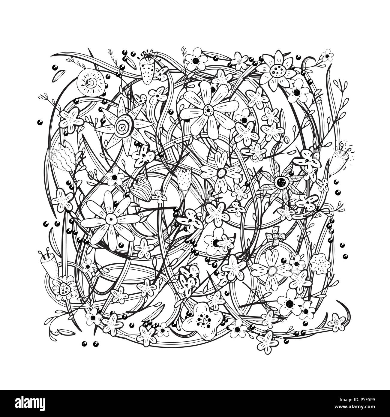 Field Flowers And Leaves Sketch Composition Hand Drawn