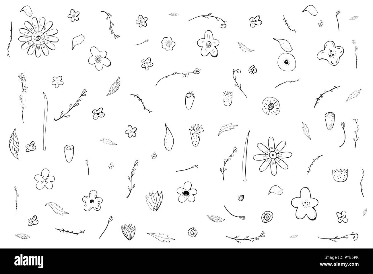 Set of doodle flowers and leaves composition. Hand drawn style. Vector ...