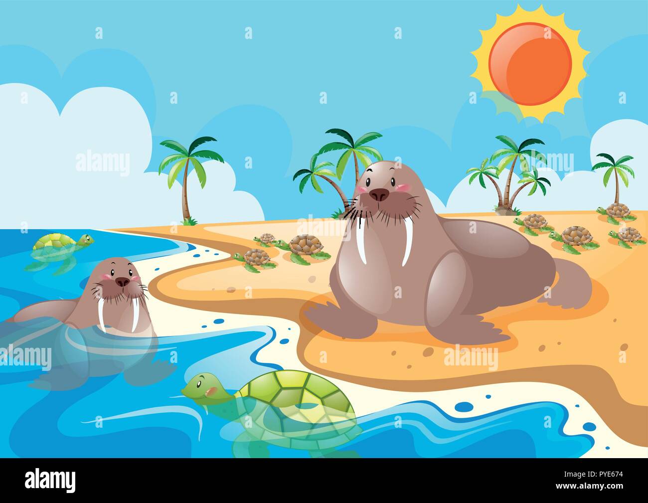 Two walrus on the beach illustration Stock Vector Image & Art - Alamy