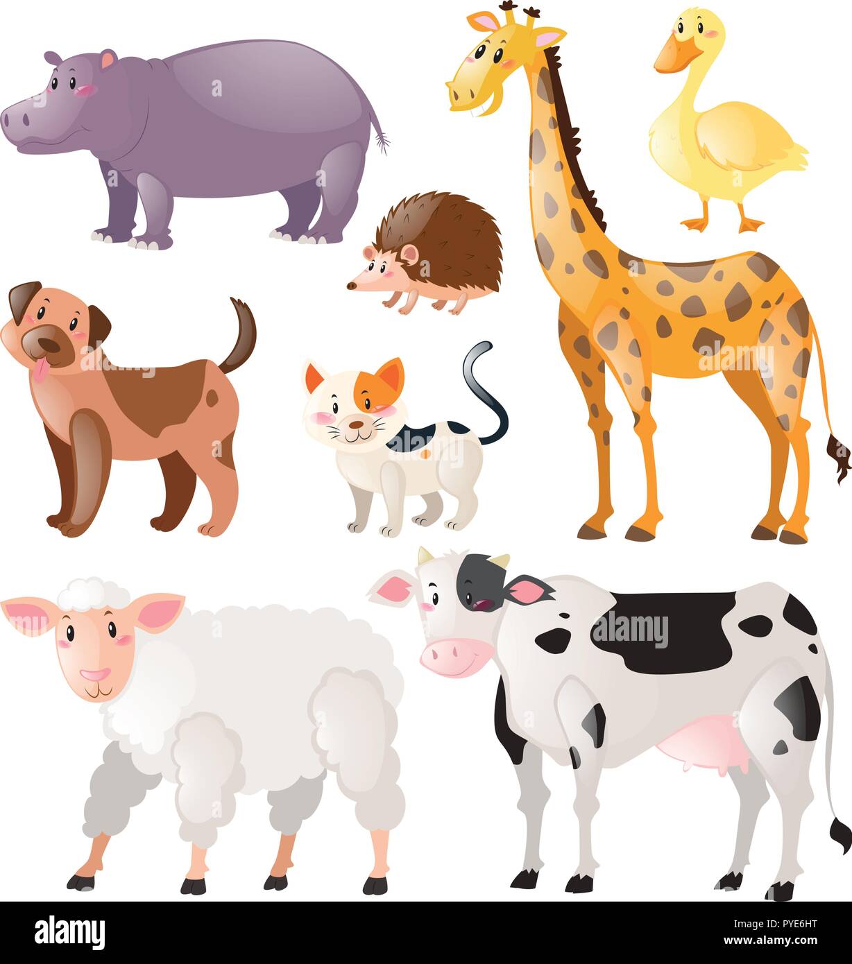 Set of wild animals illustration Stock Vector Image & Art - Alamy